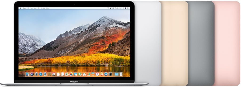 Servizio di riparazione sostituzione schermo display LCD MacBook A1534 2017 12" modello 10,1 EMC3099