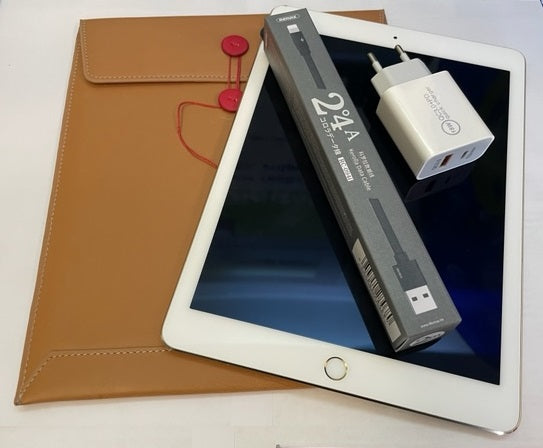 iPad Pro 9,7" WiFi A1673